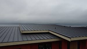 Roof Coating Services in Citrus City, TX